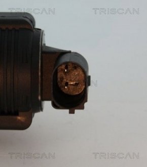 Клапан рецеркуляции отработавших газов TRISCAN 8813 10015 (фото 1)