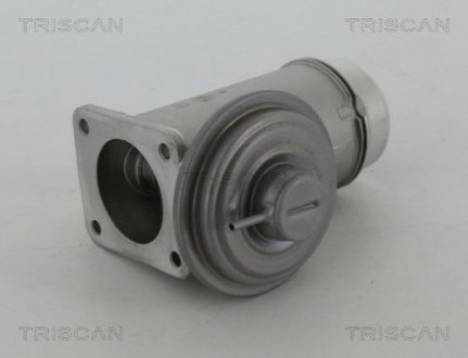 Клапан рецеркуляции отработавших газов TRISCAN 8813 11005