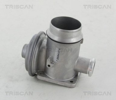 Клапан рецеркуляции отработавших газов TRISCAN 8813 11102