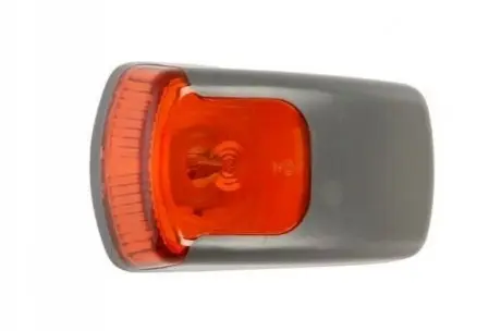 Повторювач повороту Лів/Прав (колір скла: жовт, P21W) MERCEDES AXOR, AXOR 2 01.02 TRUCKLIGHT CLME007 Купити в Україні