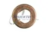 Шайба форсунки TRUCKTEC (02.10.078) изображение 1