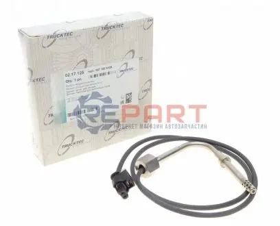 Датчик температуры ВГ (перед сажевым фильтром) MB A-class (W169) 04-12 TRUCKTEC 0217125 Купить в Украине