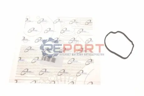 Прокладка термостата MB Sprinter/Vito CDI 00 TRUCKTEC 0219275 Купити в Україні