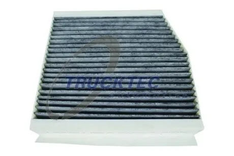Фільтр салону MB A-class (W176)/B (W246/W242) 11-/Infiniti Q30 15-(вугільний) TRUCKTEC 0259152