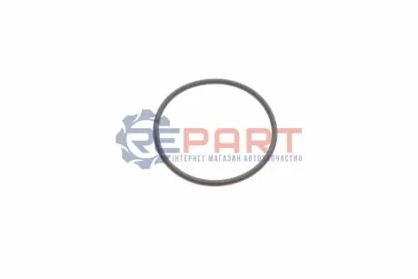 Уплотняющее кольцо TRUCKTEC 02.67.254 Купить в Украине