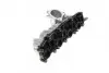 Колектор впускний VW Passat/Golf 2.0TDI 05-10 (з прокладкою) TRUCKTEC (0714259) зображення 4