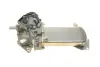 Фото Радіатор рециркуляції ВГ з клапаном EGR VW Amarok 2.0TDI/BiTDI 10-16 TRUCKTEC (07.16.060) зображення 9