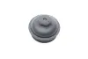 Кришка фільтра масляного VW T5/Caddy 1.9TDI 03 TRUCKTEC (07.18.091) зображення 4