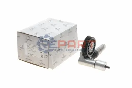 Натяжник ременя генератора Audi A4/A6/VW Passat 1.9/2.0 TDI 98-05 TRUCKTEC 0719087 Купити в Україні