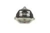 Фото Подушка КПП Audi A4/A6/Q5 2.0 TFSI 08-18 TRUCKTEC (07.20.090) зображення 2