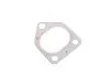 Фото Колектор випускний BMW X5 (E53) 3.0 TD 00-07 M57 D30 TRUCKTEC (08.16.013) зображення 10