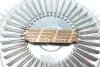 Фото Муфта вентилятора BMW 3 (E36/E46)/ 5 (E34/E39)/ 7 (E38)/ X5 (E53)/ Z3 (E36) 2.0-3.2 88-07 M50/M52/M54/S50 TRUCKTEC (08.19.002) зображення 2