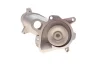 Фото Помпа води BMW 3 (E90/E91/E92) 06-13/X3 (E83) 04-10 TRUCKTEC (08.19.236) зображення 2