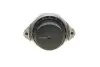 Подушка двигуна (передня) BMW 1 (E81/E88)/3 (E90/E91/E92/E93)/X1 (E84) 1.6/2.0/2.0D 04-15 N43/N45 TRUCKTEC (08.22.045) зображення 4