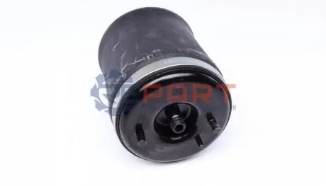 Подушка пневмопідвіски (ззаду) BMW X5 00-06 (R) TRUCKTEC 0830047 Купити в Україні