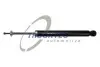 Амортизатор BMW TRUCKTEC (0830113) изображение 1
