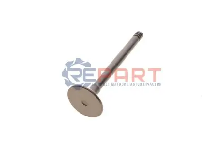 Випускний клапан TRW 17092 Купити в Україні