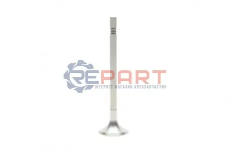 Випускний клапан TRW 331134 Купити в Україні