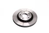 Фото Диск гальмівний передн Лів/Прав RENAULT FLUENCE, GRAND SCENIC III, LAGUNA, LAGUNA III, LATITUDE, MEGANE, MEGANE III, SCENIC III 1.2-3.5 10.07 TRW (DF6184) зображення 3
