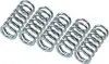 Комплект пружин зчеплення HUSQVARNA SM SUZUKI GZ, VL TRIUMPH ADVENTURER, DAYTONA, LEGEND, SPRINT, STREET TRIPLE, THUNDERBIRD, TIGER, TRIDENT, TROPHY 250-900 1991-2010 TRW (MEF1215) зображення 1