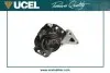 Фото Подушка двигуна (R) Citroen C4/Peugeot 307 1.8i/2.0i 16V 00 UCEL (41596) зображення 2