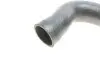 Фото Патрубок інтеркулера Audi A3/Skoda Octavia/VW Golf IV 1.9 TDI 00-10 UCEL (65264) зображення 2