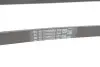 Фото ПАС КЛИНОВЫЙ VAG (057903137AB) изображение 4