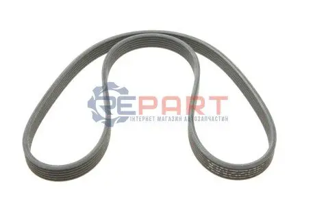 Поліклиновий ремінь VW BORA I, JETTA IV 2.0 10.98-12.17 VAG 06G260849 Купити в Україні