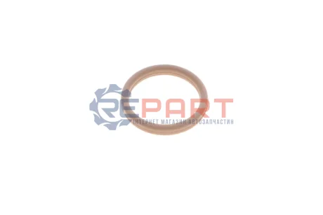 Уплотняющее кольцо VAG 09G321181A