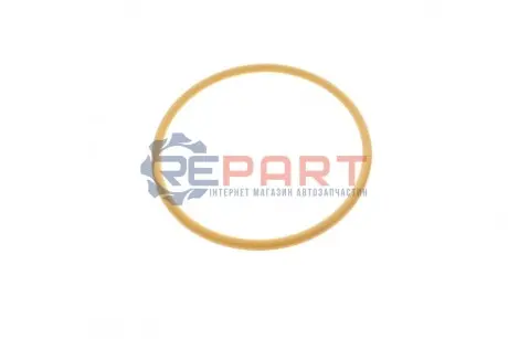 Кільце VAG 4F0145117 Купити в Україні