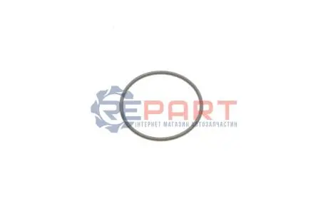 Кільце ущільнювальне VAG 4L0130519 Купити в Україні