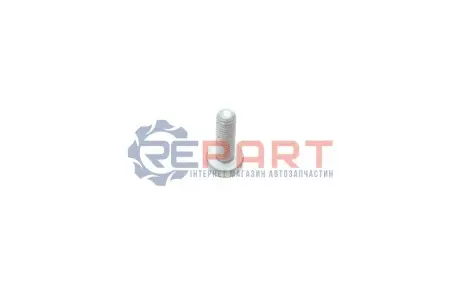 Кронштейн водяного насоса (M6x20) VAG N10124306 Купити в Україні