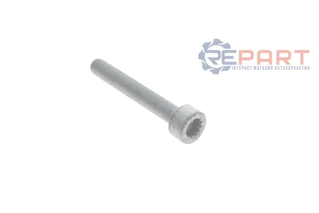 Болт натягувача ременя генератора Audi Q7 07-09/VW Phaeton 02-16 (21.18x1613mm) VAG N90990102