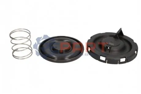 Клапан, система продування картера VAICO V203342 Купити в Україні