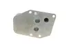 Фото Радіатор масляний BMW 3 (E90) 320 d 04-11 M47/N47 (теплообмінник) Van Wezel (06003555) зображення 2