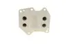 Фото Радіатор масляний Ford Transit 2.2/2.4 TDCI 06- (теплообмінник) Van Wezel (18013704) зображення 3
