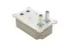 Фото Радіатор масляний Ford Mondeo 2.0/2.2 TDCI 00-07 (теплообмінник) Van Wezel (18013705) зображення 3