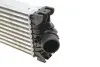 Фото Радіатор інтеркулера Ford Transit/Tourneo 2.2D 11- Van Wezel (18014710) зображення 8