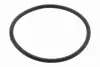 Фото Прокладка корпуса впускного колектора LAND ROVER DISCOVERY IV, RANGE ROVER IV 2.7D/3.0D/3.0DH 09.09-09.21 VEMO (V48810008) зображення 1