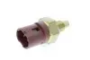 Датчик температуры жидкости охлаждения VEMO (V95720025) изображение 1