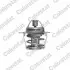 Термостат системи охолодження (80°C) CADILLAC DEVILLE CHEVROLET CRUZE DAEWOO MATIZ NISSAN URVAN SUBARU JUSTY I, LIBERO, REX II, REX III, VIVIO SUZUKI ALTO V 0.5-4.9 07.81 Vernet (TH124880J) зображення 1