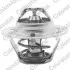 Термостат системи охолодження (82°C) SEAT TOLEDO I VW GOLF II, JETTA II, PASSAT B3/B4 1.6 08.83-03.99 Vernet (TH147782J) зображення 1