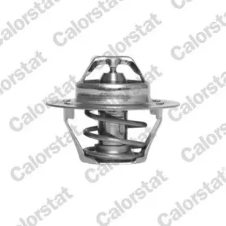 Термостат системи охолодження (89°C) VOLVO S40 I, V40 FORD ESCORT VI, FIESTA III, FIESTA IV HYUNDAI ACCENT II, GETZ KIA RETONA, SPORTAGE LAND ROVER DISCOVERY I, RANGE ROVER I 1.0-4.3 08.81-06.09 Vernet TH416889J