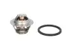 Фото Термостат системи охолодження (75°C) RENAULT CLIO III 2.0 02.06-12.14 Vernet (TH604775J) зображення 1