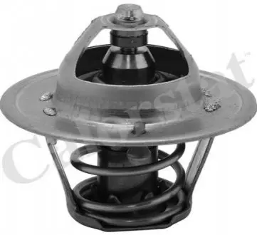 Термостат системи охолодження (82°C) AUDI TT CADILLAC DEVILLE NISSAN MICRA II, URVAN 1.0-4.9 07.81-06.06 Vernet TH631382J Купити в Україні