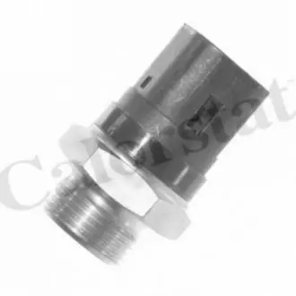 Термовимикач вентилятора OPEL MOVANO A RENAULT 21, CLIO II, ESPACE III, KANGOO, KANGOO EXPRESS, LAGUNA I, LAGUNA II, MASTER II, MEGANE I, MEGANE I CLASSIC, MEGANE I COACH 1.4-3.0 05.89 Vernet TS1371 Купити в Україні