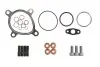 Монтажний комплект турбіни AUDI A4 B5, A6 C5, ALLROAD C5 2.7 09.97-08.05 VICTOR REINZ (041016701) зображення 1