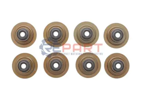 Сальник клапана (впуск/випуск) Land Rover Freelander 2.0 DI 98-06 (к-кт) VICTOR REINZ 12-35493-01 Купити в Україні