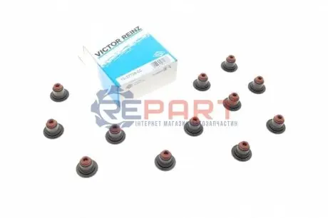 Фото 1 — Сальник клапана (впуск/випуск) Ford Transit Connect 1.0 EcoBoost 13- (к-кт) VICTOR REINZ (123772802) Фото Сальник клапана (впуск/випуск) Ford Transit Connect 1.0 EcoBoost 13- (к-кт) VICTOR REINZ (123772802) зображення 1