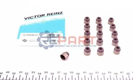 Сальник клапана (впуск/випуск) Renault Kangoo 1.2 TCe 13- /Laguna III 2.0 16V (к-кт 16шт), H5F/M4R VICTOR REINZ 125303601 Купити в Україні